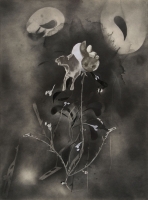 https://www.nilskarsten.de/files/gimgs/th-32_5_5_black-flower-5.jpg